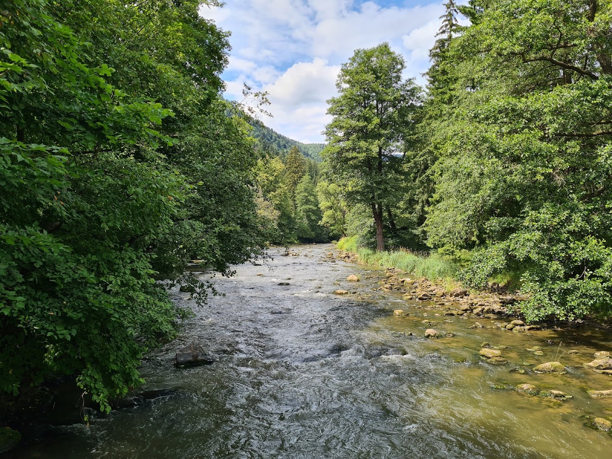 Foto 2